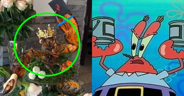 움직이지만 몸통 잘린 채 몸부림치는 랍스터, '잔인성 논란' 뒤 가게 사장이 낸 입장은 듣고 나니 생각이 복잡해진다