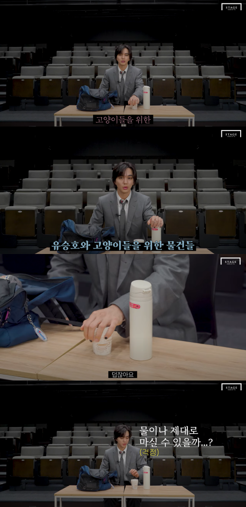 길고양이를 위한 물품 ⓒYG STAGE 유튜브