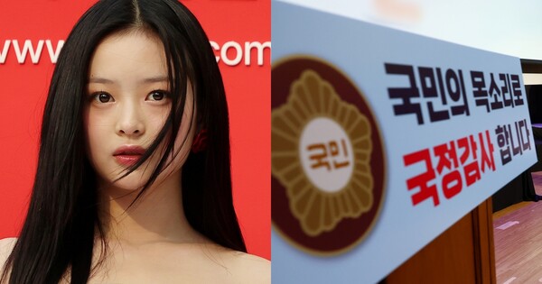 뉴진스 하니가 국정감사 출석 요청받은 이유는 '딱 6글자'고 어쩌다 일이 이만큼 커졌나 싶어 한숨이 푹 나온다