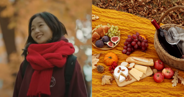 기사와 무관한 드라마 '도깨비' 캡쳐본/기사와 무관한 피크닉 관련 자료 사진.&nbsp;ⓒtvN/어도비스톡