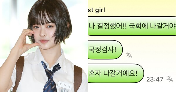 하니가 국감에 출석한다. ⓒ뉴스1, 포닝