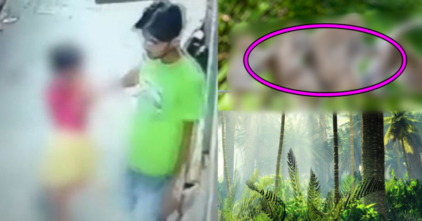 ​소녀와 남성, 기사 내용과 무관한 원숭이, 정글 사진. ⓒ유튜브 'News Nation', 어도비 스톡