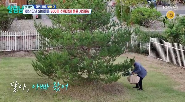 아들을 만나기 위해 수목장으로 향한 박영규. ⓒKBS 2TV ‘살림하는 남자들 시즌’