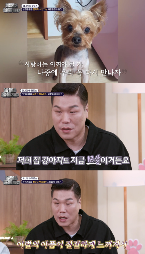 자신의 반려견 생각나 눈물 흘리는 서장훈. ⓒKBS