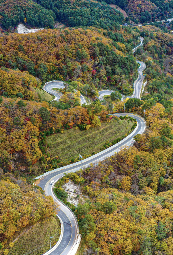 20일 강원도 평창군 용평면 운두령 일대 산자락에 단풍이 물들고 있다. (2024.10.20) ⓒ뉴스1