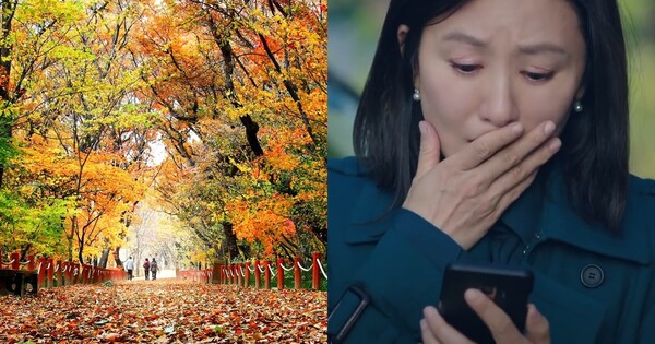 ​함양에 조성된 단풍 숲길(좌), 놀라는 표정 사진(우) ⓒ함양군청 제공/JTBC  ​