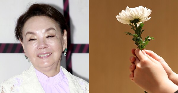 배우 김수미(좌), 국화 이미지(우) 뉴스1/픽사베이&nbsp;