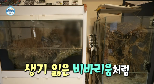 MBC 예능 '나 혼자 산다' 방송 장면 ⓒMBC&nbsp;