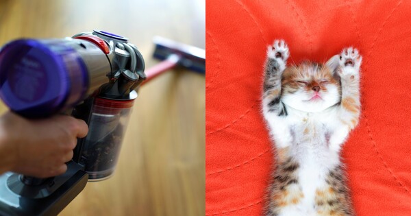 '잠의 질' 바꾸는 진공청소기 사용법: 매트리스. ⓒ어도비스톡