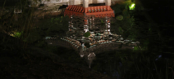 그렇지만 기대하지 못한 아름다움도 만났습니다. 그건 바로 연못에 비친 창덕궁의 아름다움이었습니다. 부용지와 애련지 위로 비치는 창덕궁의 모습은 마치 한 폭의 그림과 같았습니다. 특히 아직 연잎이 가득한 애련지의 모습은 마치 한국판 모네의 작품인가 싶었습니다. ⓒ한겨레 백소아 기자 thanks@hani.co.kr