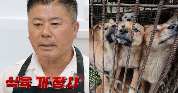 식육점 이미지