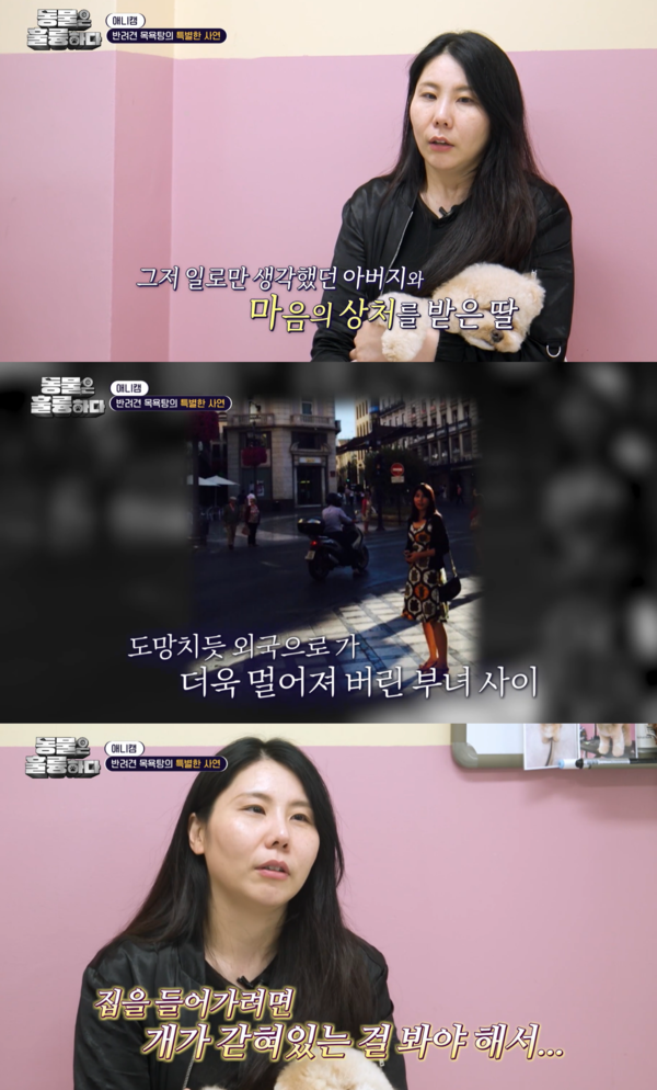 매일식육점 이미지
