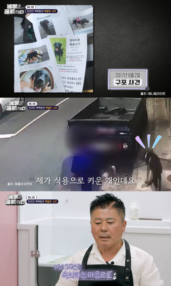 매일식육점 이미지