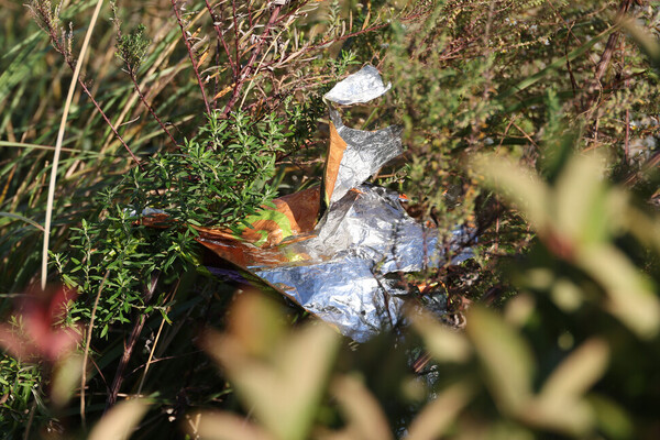 ‘1123 부산 플라스틱 행진’이 열린 23일 오후 부산 해운대구 벡스코를 향해 행진하는 참가자들 옆에서 비닐쓰레기가 화단에 걸려 휘날리고 있다. ⓒ한겨레