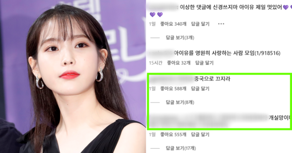아이유, 누리꾼들 반응. ⓒ뉴스1/아이유 인스타그램
