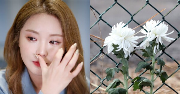 가수 홍진영(좌), 제주항공 참사 현장에 놓인 꽃. ⓒ뉴스1