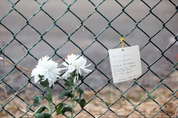 사고현장 인근인 무안국제공항 철조망에 추모쪽지가 붙어 있다, ⓒ뉴스1
