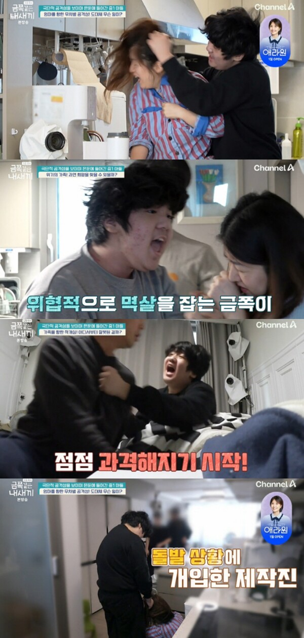 무차별적인 폭행을 휘두르는 히키코모리 금쪽이. ⓒ채널A