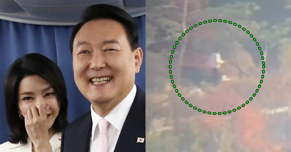 ㅋㅋㅋㅋㅋㅋㅋㅋ. ⓒ뉴스1, 유튜브 채널 '고양이 뉴스'