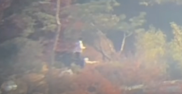 김건희 여사로 추측되는 인물이 관저 안에서 강아지와 산책 중이다. ⓒ유튜브 채널 '고양이뉴스'