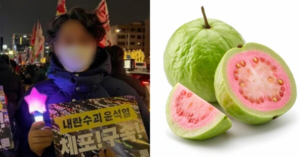 구아바 구아바~ ⓒ김C 인스타그램, 어도비스톡