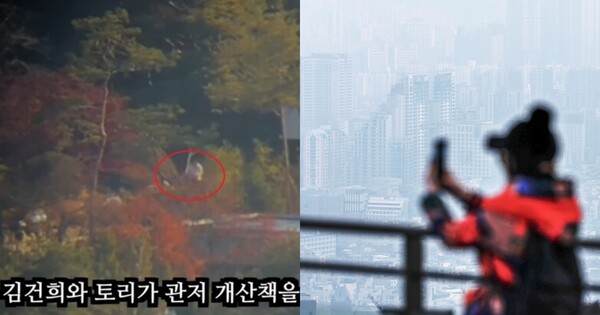 '尹 관저 개 산책' 영상 찍은 곳은? ⓒ유튜브 채널 '고양이 뉴스'