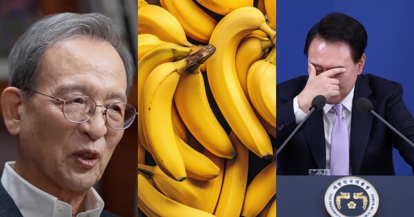 이준구 교수, 바나나, 윤석열 대통령 ⓒ유튜브 채널 '인재교육tv', 어도비스톡, 뉴스1&nbsp;