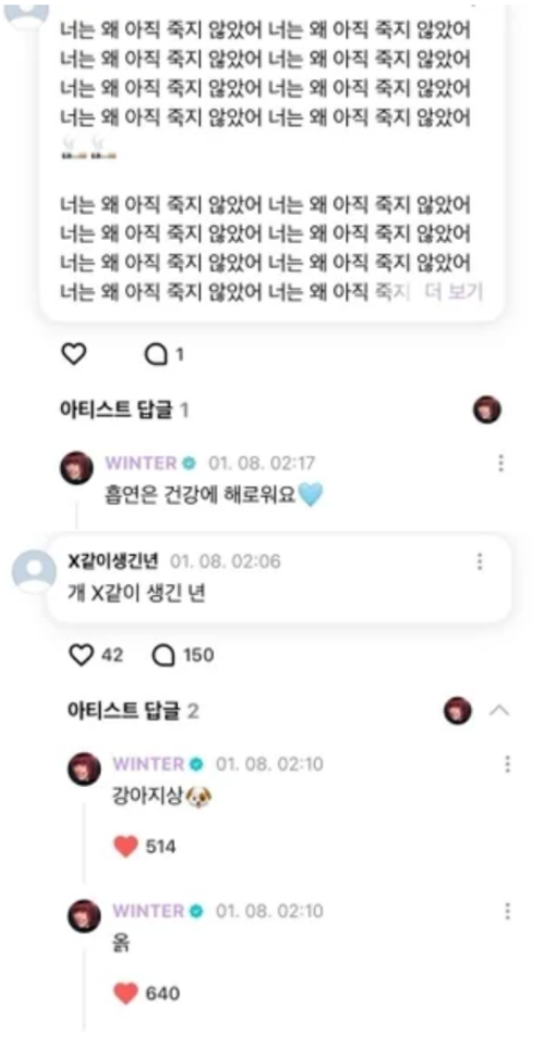 악플에 답한 윈터. ⓒ