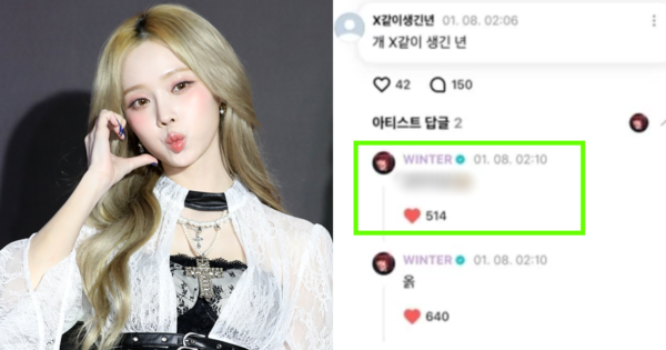 에스파 윈터, 악플 내용. ⓒ뉴스1/위버스