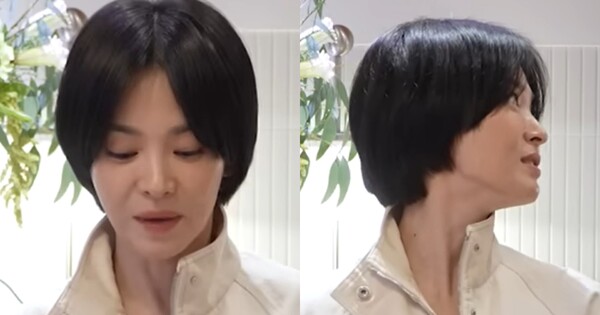 그사세 떠오른ㄷ r ⓒ요정재형