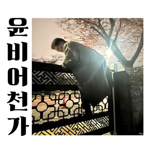 윤비 '윤비어천가' 커버. ⓒ유튜브 채널 '윤비의 불편한 진실'