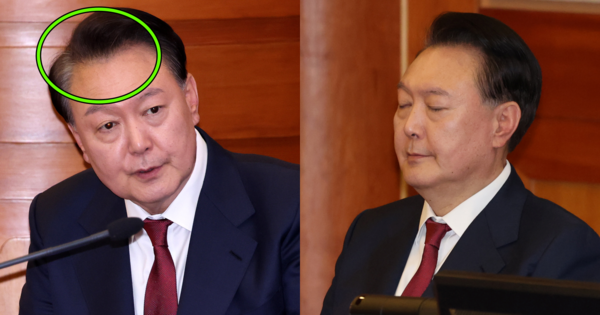머리대통령 이미지
