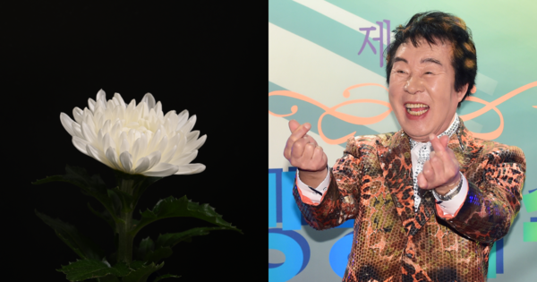 기사 내용과 무관한 꽃 사진, 송대관. ⓒ어도비스톡/뉴스1