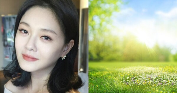 故 서희원 동생 서희제가 수목장을 신청했다. ⓒSNS, 어도비스톡&nbsp;