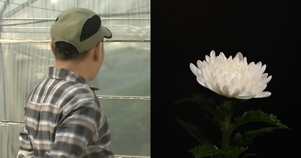 배우 최병학의 뒷모습(좌), 기사 이해를 돕기 위한 이미지(우). ⓒKBS, 어도비스톡