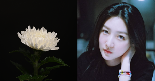 기사 내용과 무관한 꽃 사진, 김새론. ⓒ어도비스톡/김새론 인스타그램