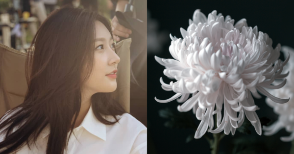 김새론, 기사 내용과 무관한 꽃 사진. ⓒ김새론 인스타그램/어도비스톡