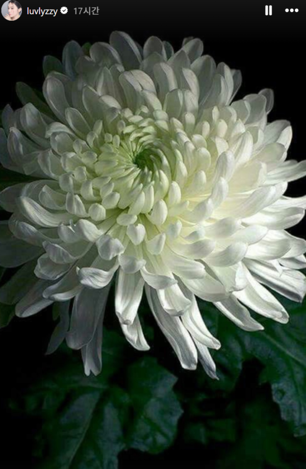 김새론 추모한 리지. ⓒ리지 인스타그램&nbsp;