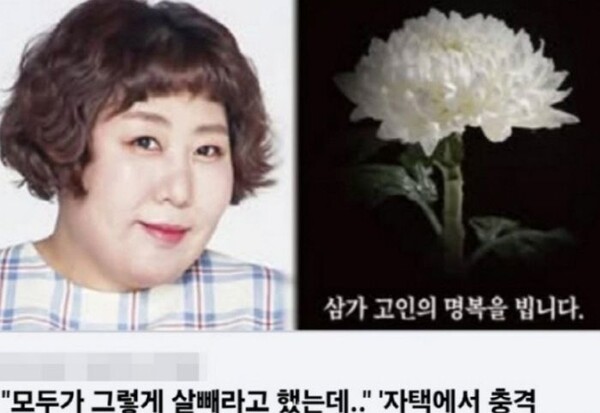 신기루가 본 가짜 뉴스. ⓒ신기루 SNS