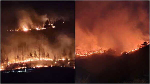 22일 경남 산청 시천면에서 전날 발생한 산불이 밤까지 이어지고 있다.&nbsp;ⓒ뉴스1&nbsp;