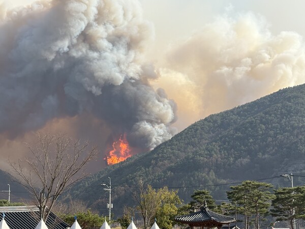 22일 경남 산청 시천면에서 전날 발생한 산불이 이어지고 있다.&nbsp;ⓒ뉴스1&nbsp;