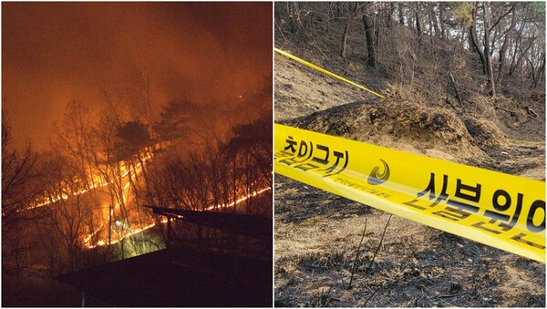 22일 경북 의성군 안평면에서 시작한 산불(왼),&nbsp;29일 경북 의성 산불 최초 발화지점에 산림당국의 출입 통제 라인이 설치된 모습(오).&nbsp;ⓒ뉴스1&nbsp;