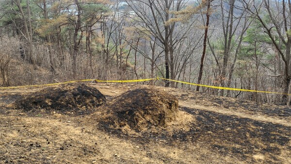 29일 경북 의성 산불 최초 발화지점에 산림당국의 출입 통제 라인이 설치된 모습.&nbsp;ⓒ뉴스1&nbsp;