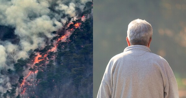 경북 산불(좌), 기사 이해를 돕기 위한 이미지(우). ⓒ뉴스1, 어도비스톡