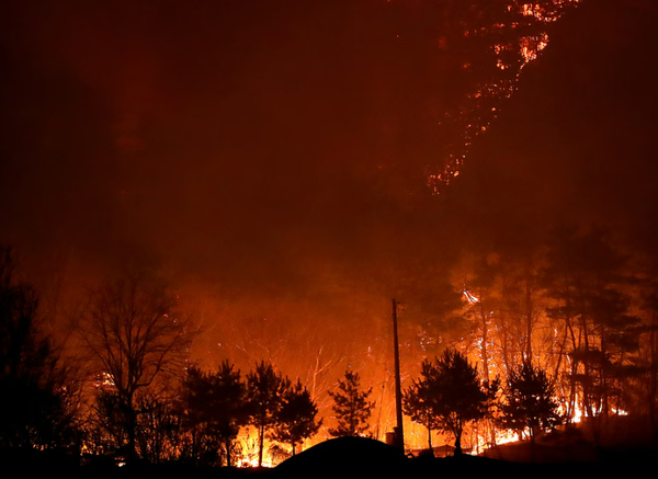 역대 최악의 화재라 불리는 경북산불. ⓒ뉴스1