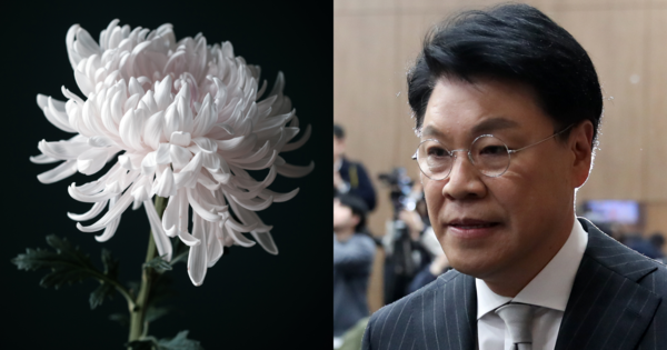 기사 내용과 무관한 꽃 사진, 장제원 전 국민의힘 의원. ⓒ어도비스톡/뉴스1