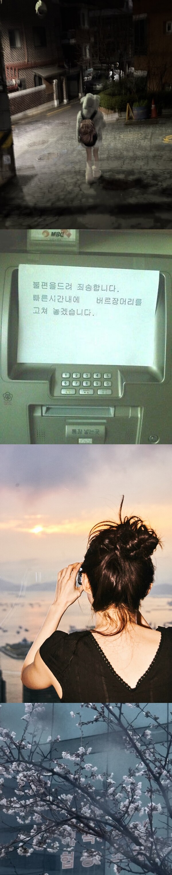 한소희가 올린 사진. ⓒ한소희 블로그