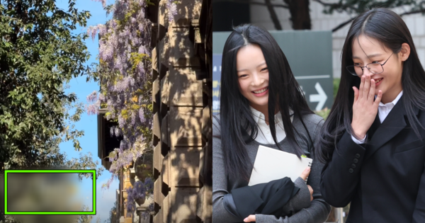 뉴진스 민지, 하니. ⓒmhdhh 인스타그램