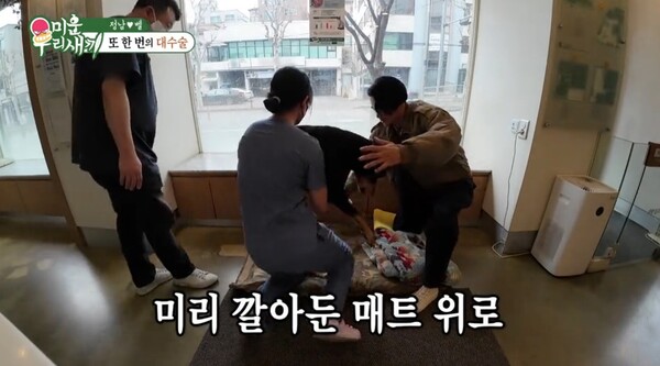 다행히 무사히 수술을 마치고 돌아온 벨. ⓒSBS ‘미운 우리 새끼’