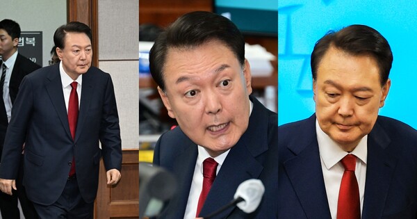 보인 이미지